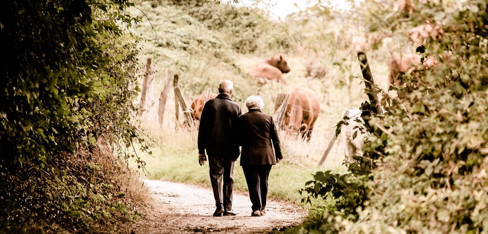 Ein älteres Ehepaar geht Hand in Hand einen Wanderweg entlang, im Hintergrund sind Milchkühe auf einem Feld am Zaun