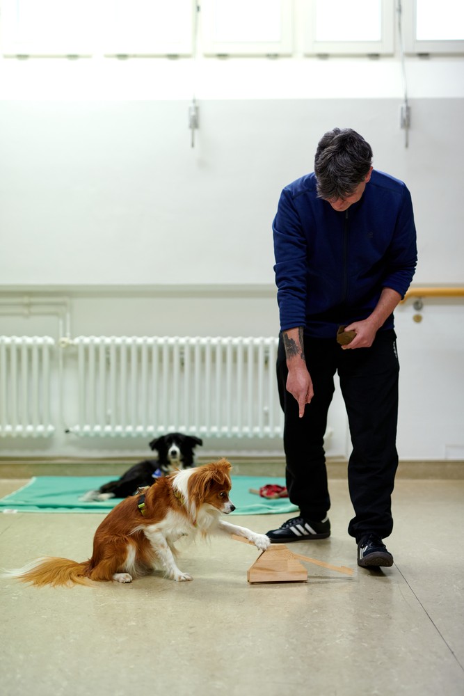 Der Physiotherapeut Marko Drobela übt mit einem Therapiehund. Ein zweiter Therapiehund liegt im Hintergrund auf einer Decke.