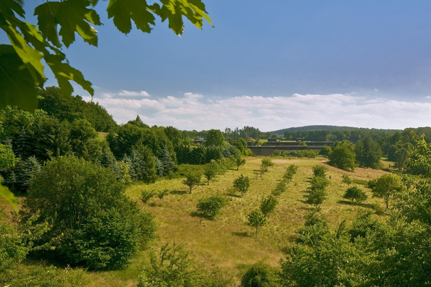 Klinikgebäude im Hintergrund, vorne die Streuobstwiese mit Apfelbäumen unter blauem Himmel. Klinikgebäude im Hintergrund, vorne die Streuobstwiese mit Apfelbäumen unter blauem Himmel.